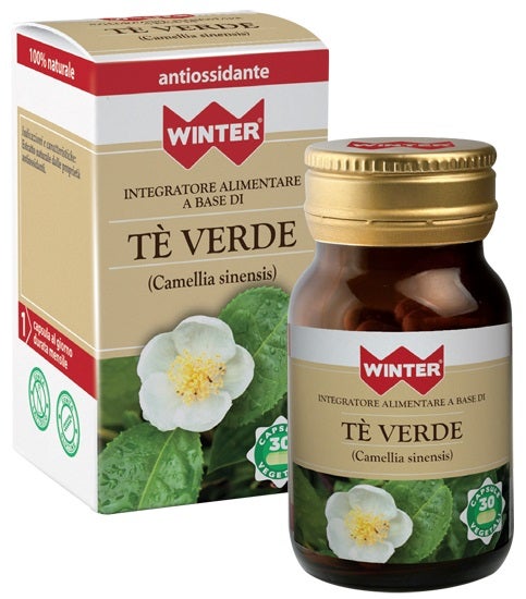 TÉ VERDE DE INVIERNO 30CPS VEGETAL-1