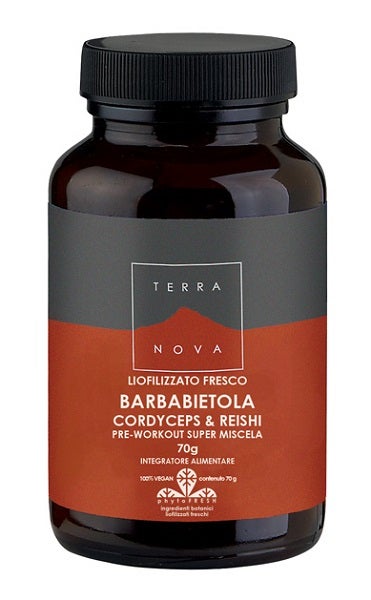 REMOLACHA TERRANOVA CORD & RE-1
