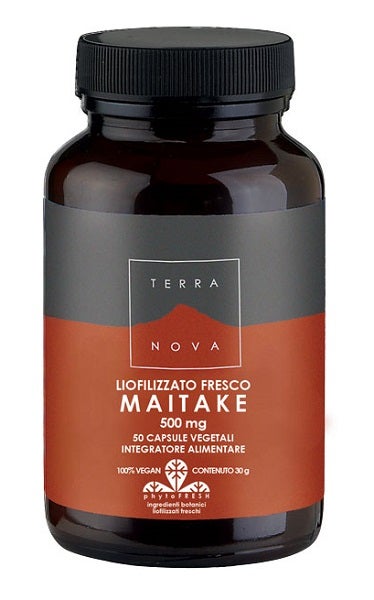 MAITAKE DE TERRANOVA 500MG 50CPS-1
