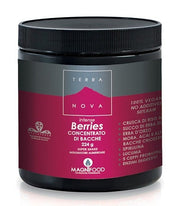SUPER BATIDO DE TERRANOVA INT BERR-1
