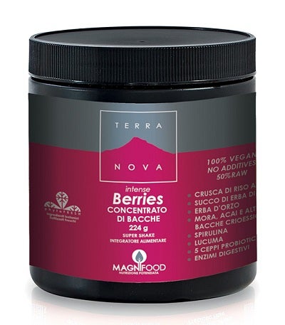 SUPER BATIDO DE TERRANOVA INT BERR-1