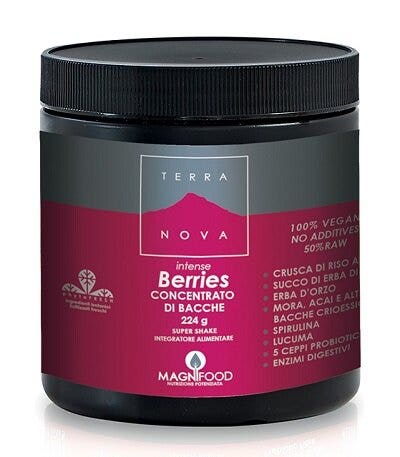 SUPER BATIDO DE TERRANOVA INT BERR-2