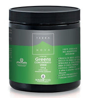 SUPER BATIDO TERRANOVA INT VERDE-1