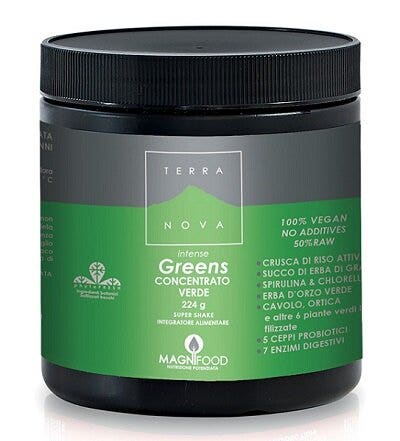 SUPER BATIDO TERRANOVA INT VERDE-2