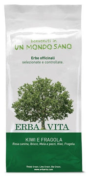 TÉ DE FRUTAS INFUSADO KIWI / FRA 100G-1