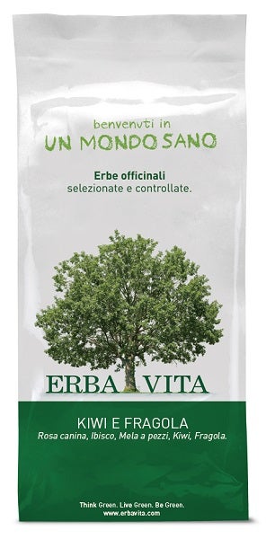 TÉ DE FRUTAS INFUSADO KIWI / FRA 100G-1