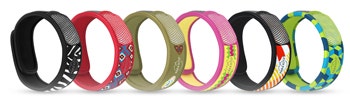 PARAKITO EFAS BRACC GRAF ETH P-1