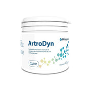Artrodyn 60 Porciones 275g-2