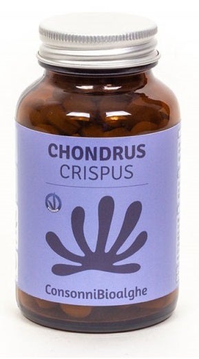 CONDRO CRISPUS 180CPR-1