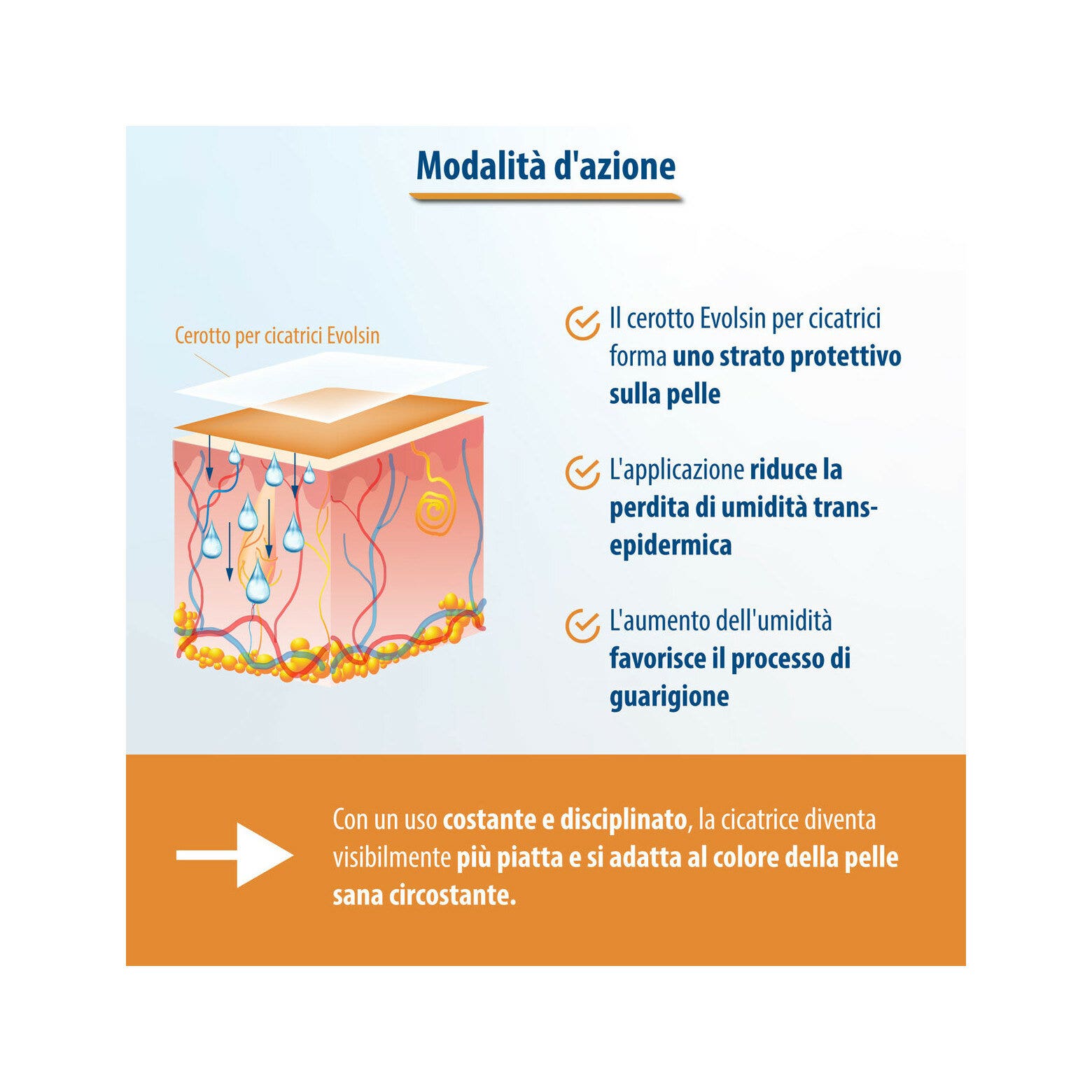 Evolsin Parche transparente para todo tipo de cicatrices 2 metros