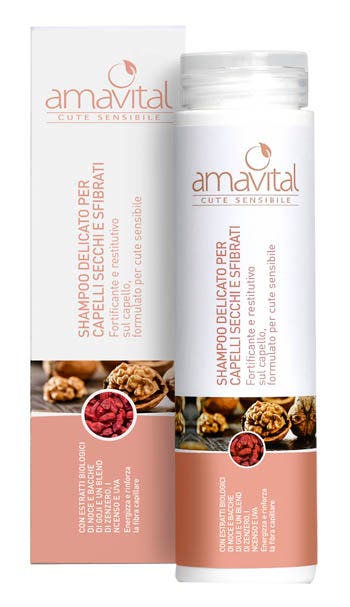 AMAVITAL CHAMPÚ DRY CAP-1