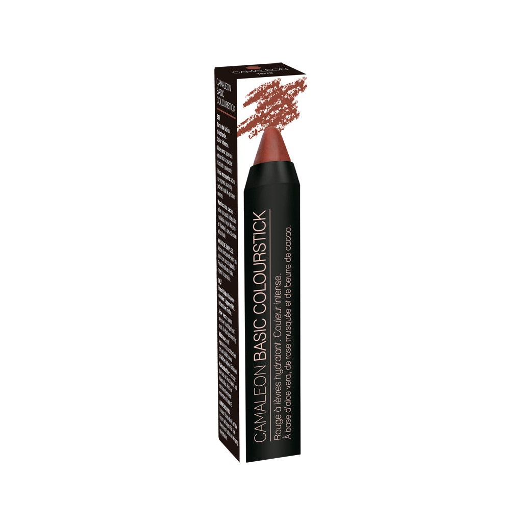 Camaleon Basic Color Stick Terra 4g-2