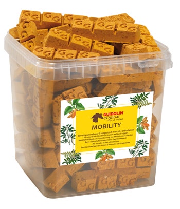MOVILIDAD EQUIBAR 2,5KG-1