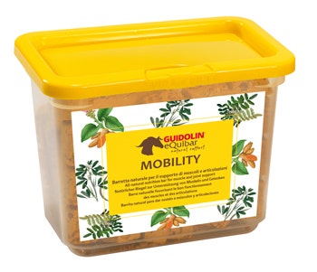 MOVILIDAD EQUIBAR 700G-1