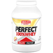Whysport Perfect 100% Whey Vainilla 900g-2