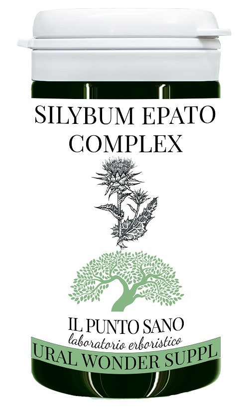 COMPLEJO HEPATO SILYBUM 100CPR-1