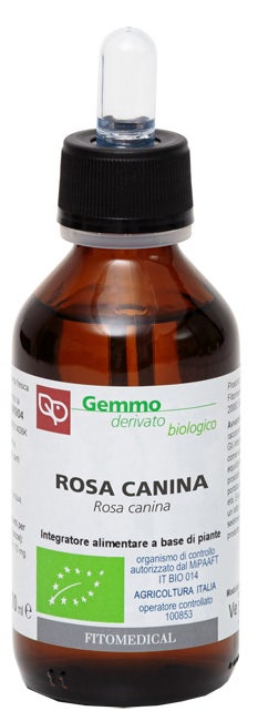 Extracto de brotes de rosa mosqueta ecológico 100 ml