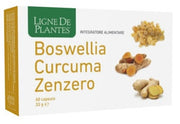 BOSWELLIA CÚRCUMA JENGIBRE60CPS-1