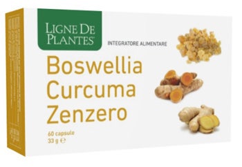 BOSWELLIA CÚRCUMA JENGIBRE60CPS-1