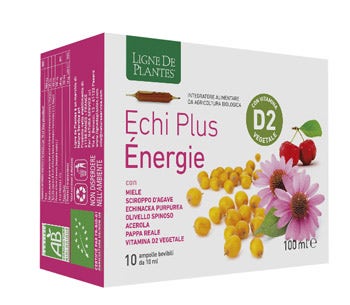 ECHI PLUS ENERGIA 10 AMPOLLAS-1