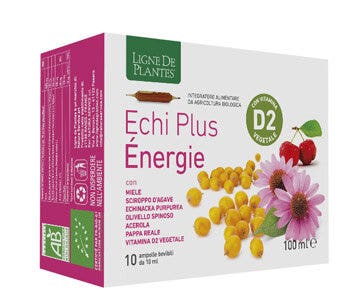 ECHI PLUS ENERGIA 10 AMPOLLAS-2