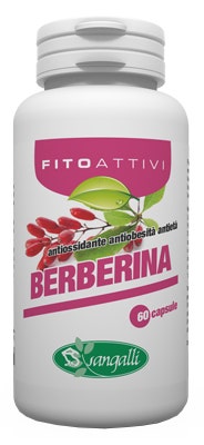 FITOACTIVOS BERBERINA 60CPS-1