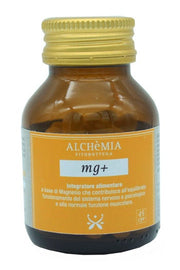 MG + 45 RCP-1