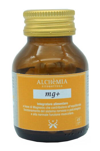 MG + 45 RCP-2