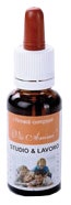 REMEDIO ESTUDIO 20ML VIS ANIMI-1
