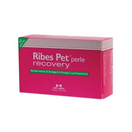 Ribes Pet Recovery Función Dérmica Para Perros Y Gatos 60 Perlas-4