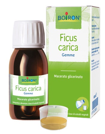 Ficus Carica Macerato Glicerico 60ml-1