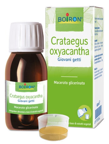 Crataegus Oxyacantha Glicerina Macerado 60ml-1