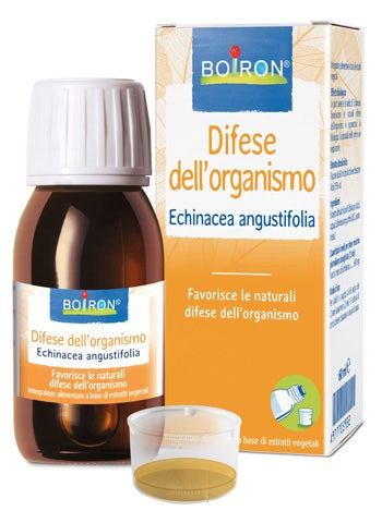 Echinacea Angustifolia Extracto Hidroalcohólico 60ml Int-1
