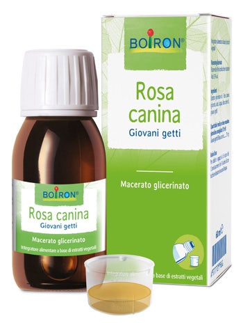 Rosa Canina Glicerina Macerada 60ml-1