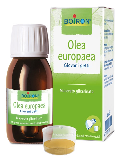 Olea Europaea Glicerina Macerado 60ml-1