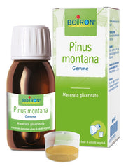 Macerado de Glicerina Pinus Montana 60ml-1