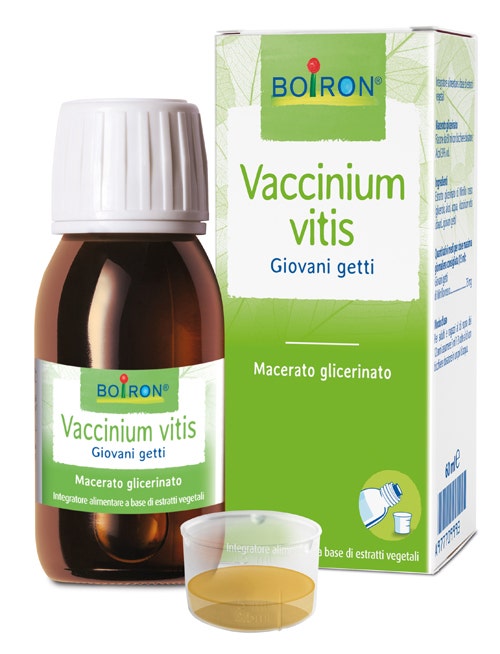 Vaccinium Vitis 60ml-1