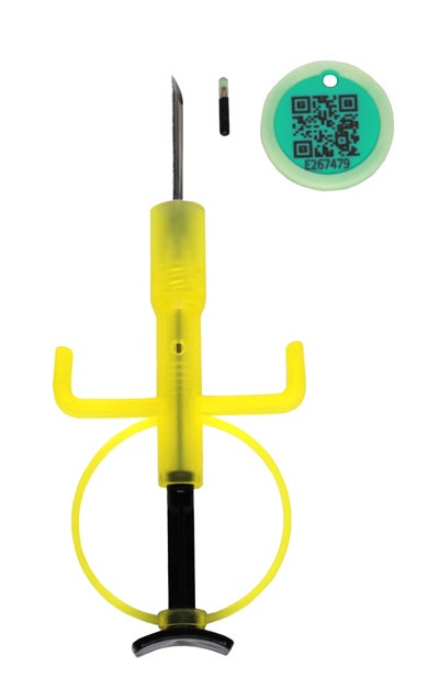 Slais Microchip 10 Pezzi