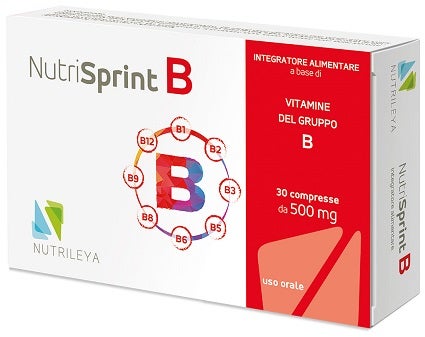 NUTRISPRINT B 30 comprimidos