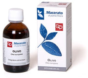 Olivo Tintura Madre Bio 50 ml