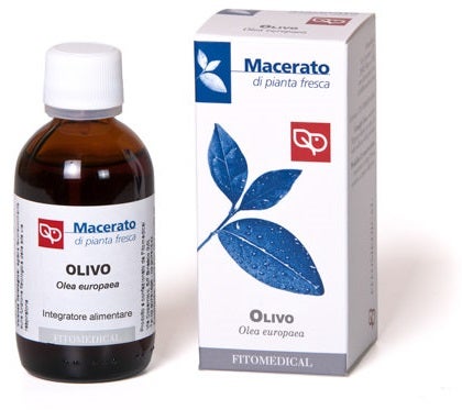Olivo Tintura Madre Bio 50 ml