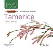 TAMERICE 15AMPOLLAS-1