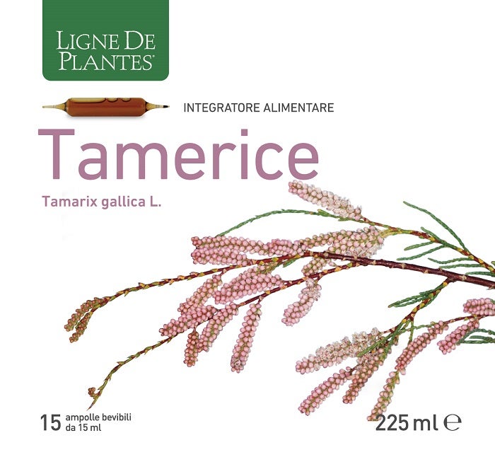 TAMERICE 15AMPOLLAS-1