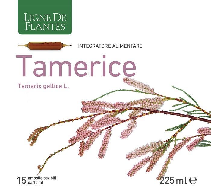 TAMERICE 15AMPOLLAS-2