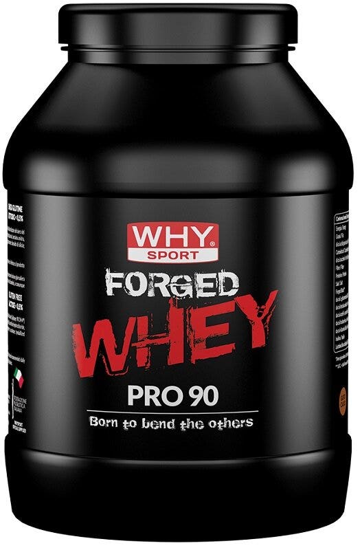 WHYSPORT FORGED WHEY CACAO900G