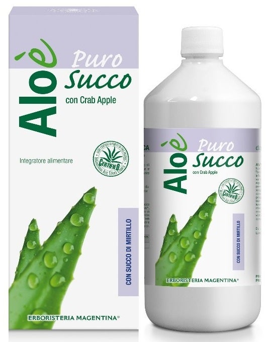 Aloe Puro con Jugo de Arndanos 1 Litro-1