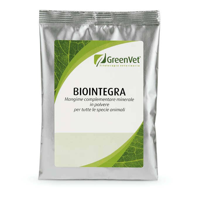 BIOINTEGRA 100G-1
