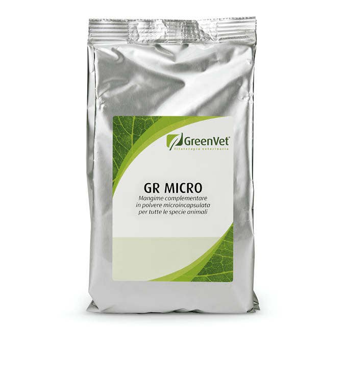 GR MICRO 500G-1