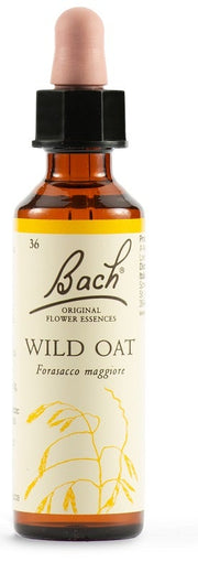 Flores de Bach N 36 Avena Silvestre Forasacco Maggiore 20ml-1
