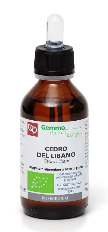 Cedro del Líbano Extracto de yemas ecológico 100 ml